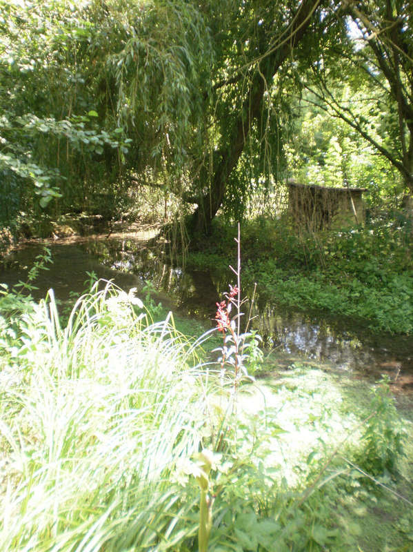 Terrain à SENOTS