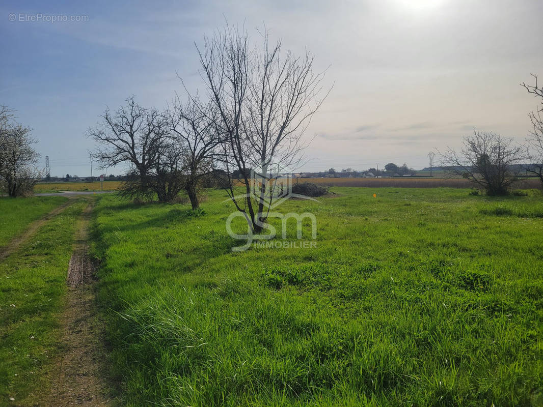 Terrain à ATHEE-SUR-CHER