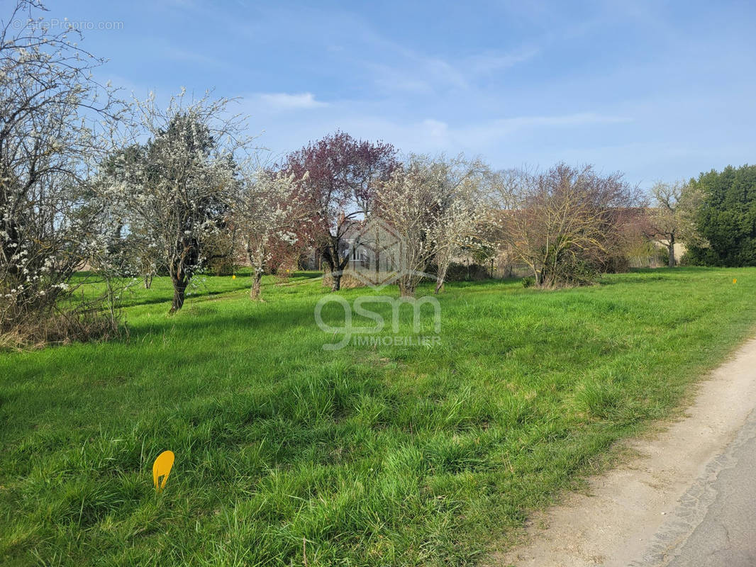 Terrain à ATHEE-SUR-CHER