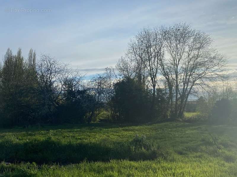 Terrain à SAINTE-HERMINE