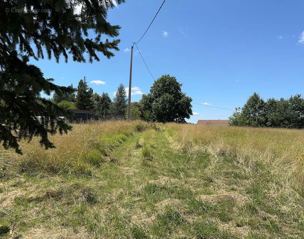 Terrain à MONTIGNAC