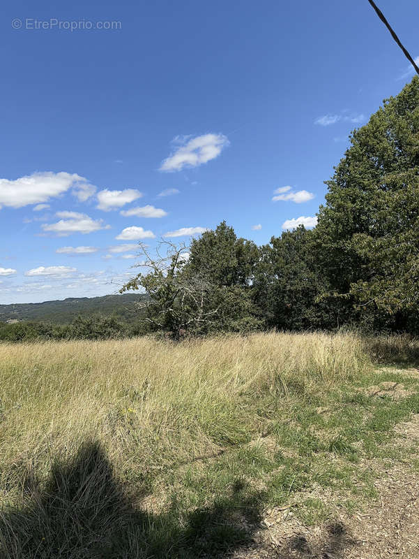 Terrain à MONTIGNAC