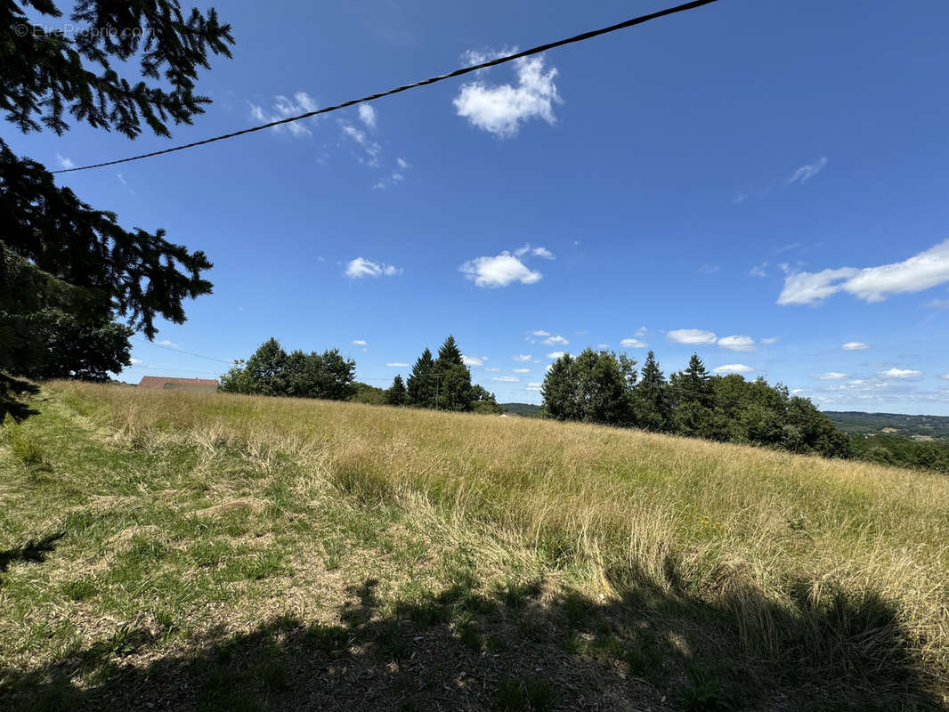 Terrain à MONTIGNAC