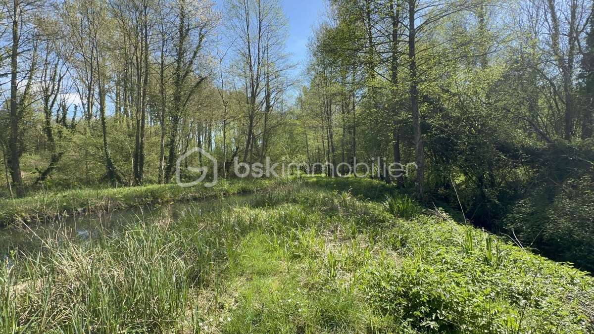 Terrain à BOULOIRE