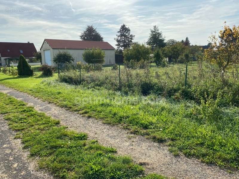 Terrain à LA NEUVILLE-BOSMONT