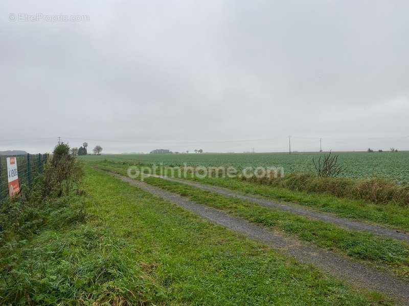 Terrain à LA NEUVILLE-BOSMONT