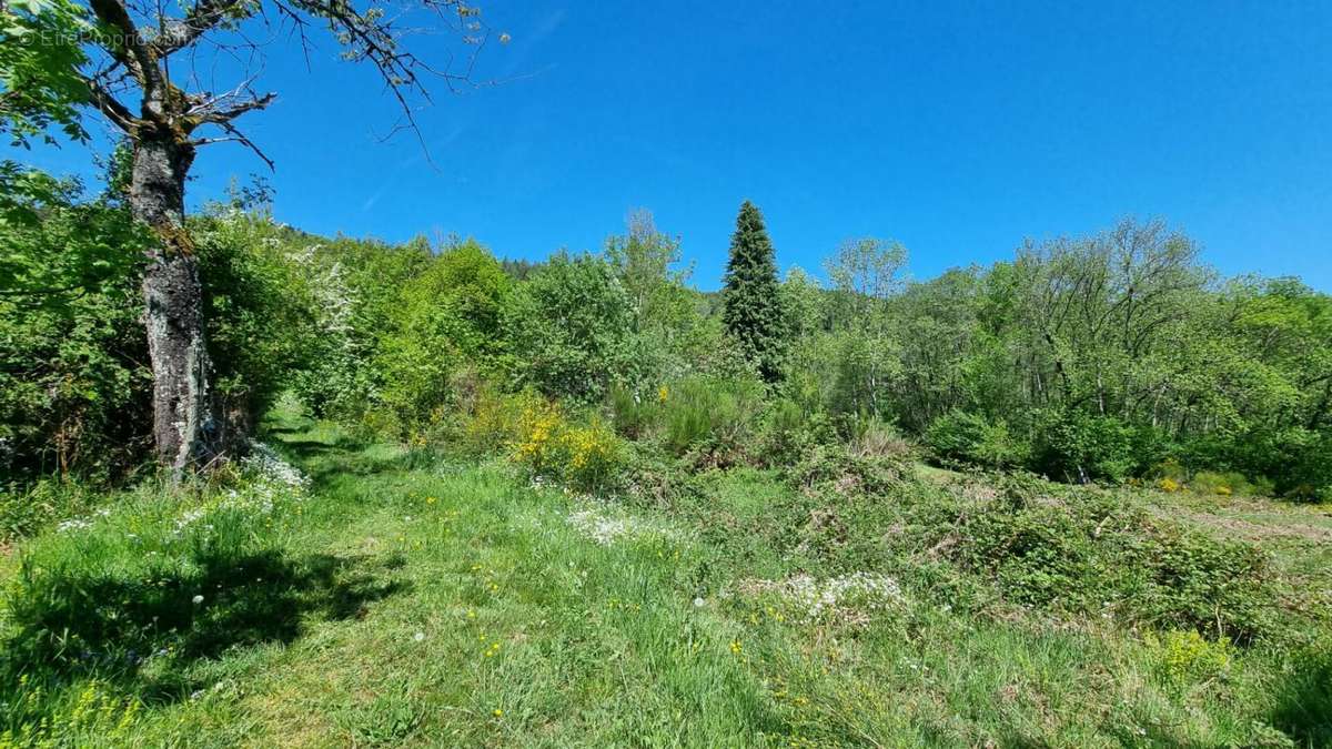 Terrain à SAINT-REMY-SUR-DUROLLE