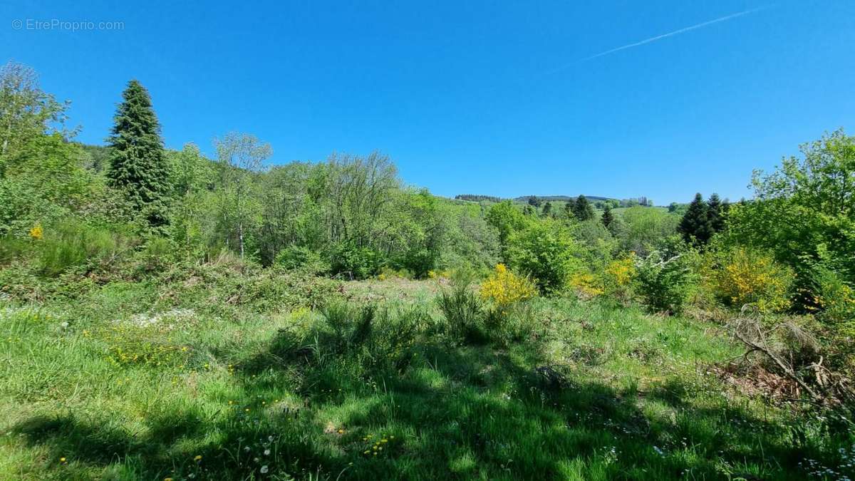 Terrain à SAINT-REMY-SUR-DUROLLE