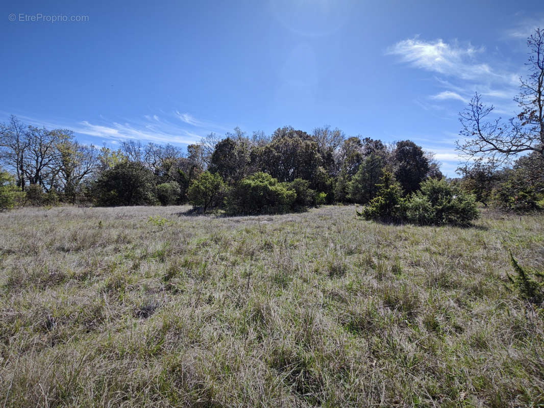 Terrain à BARJAC