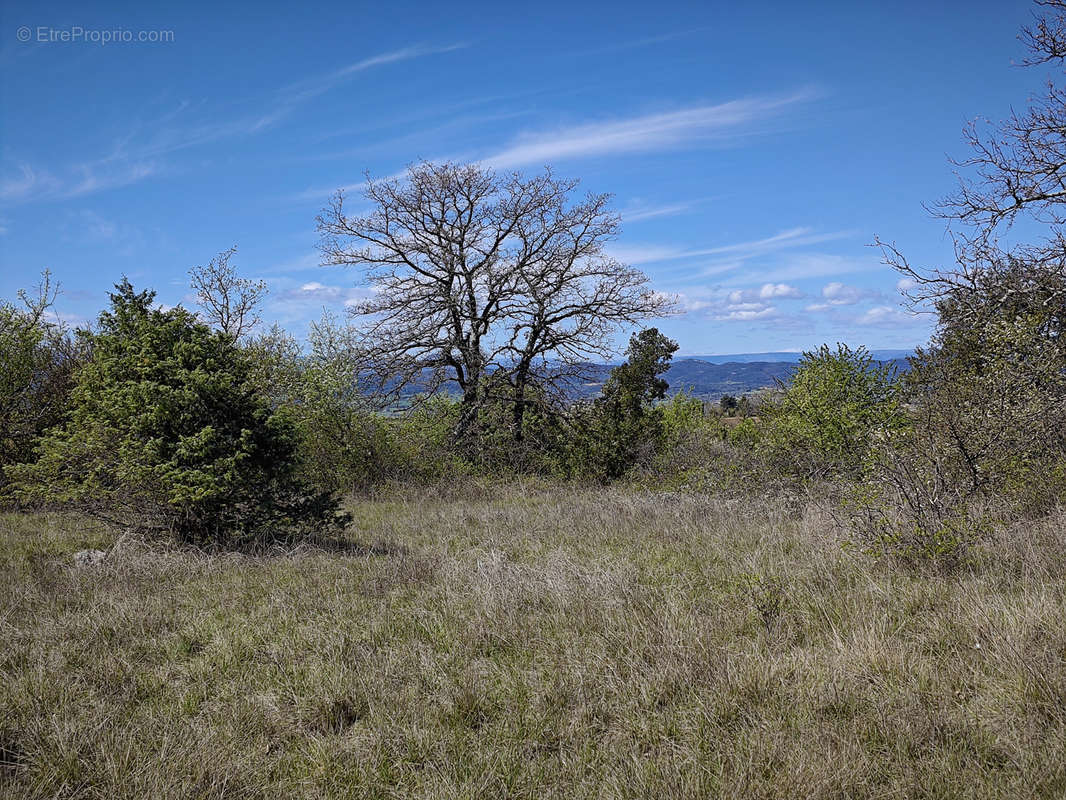 Terrain à BARJAC