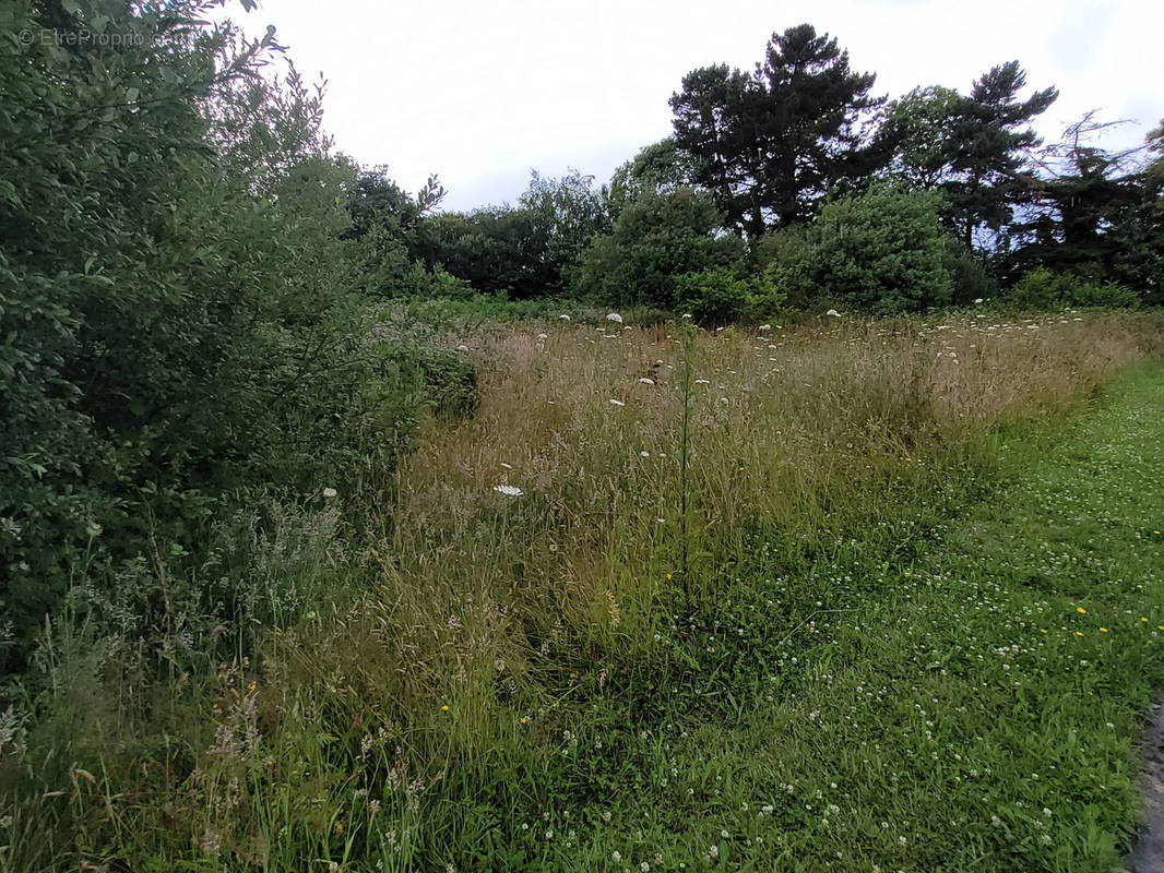 Terrain à PLOUHA