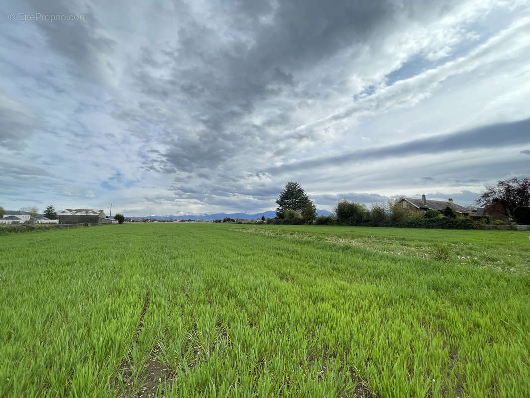 Terrain à BORDES