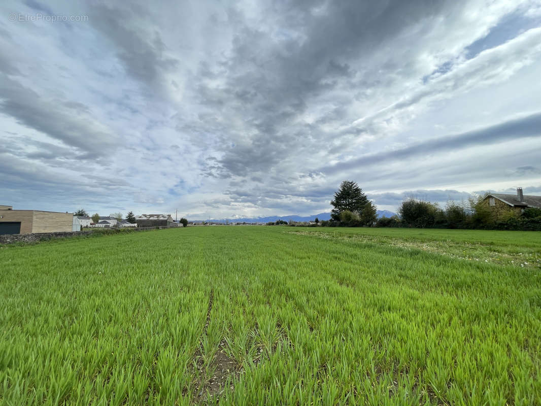 Terrain à BORDES