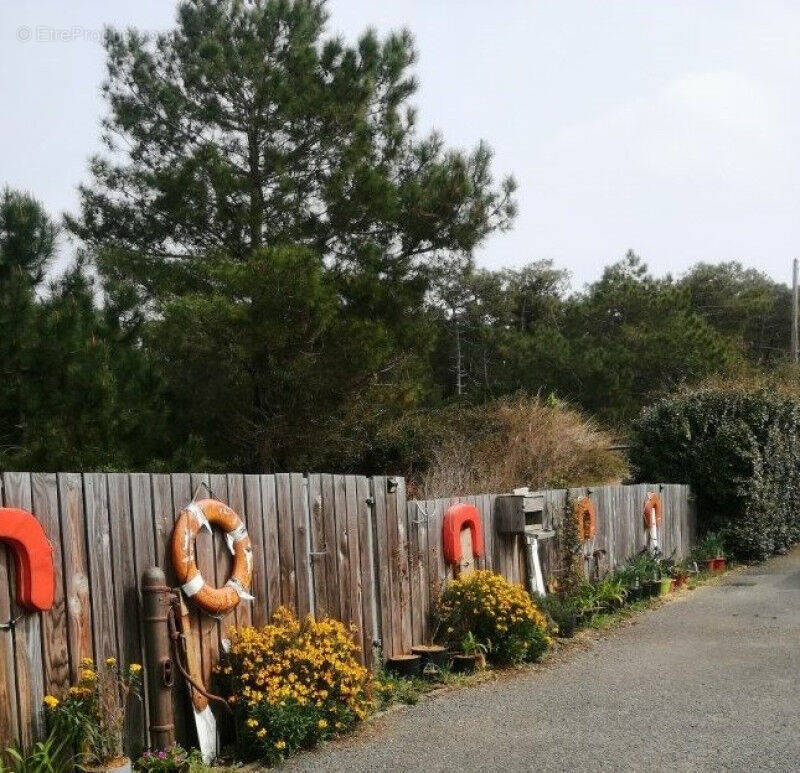 Photo 1 - Maison à LEGE-CAP-FERRET