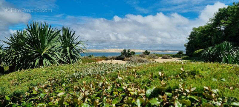 Photo 5 - Maison à LEGE-CAP-FERRET