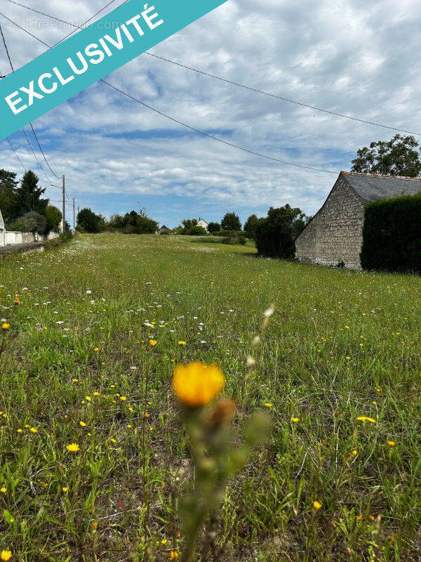 Photo 1 - Terrain à INGRANDES-DE-TOURAINE