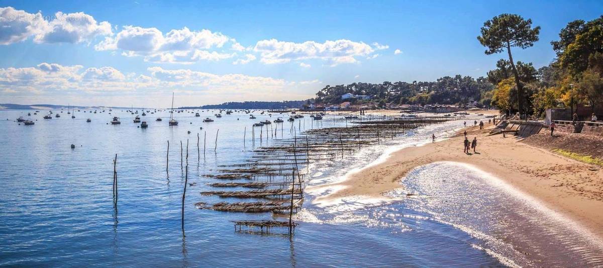 Photo 1 - Maison à LEGE-CAP-FERRET