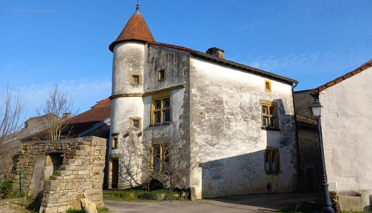 Maison à CHATILLON-SUR-SAONE