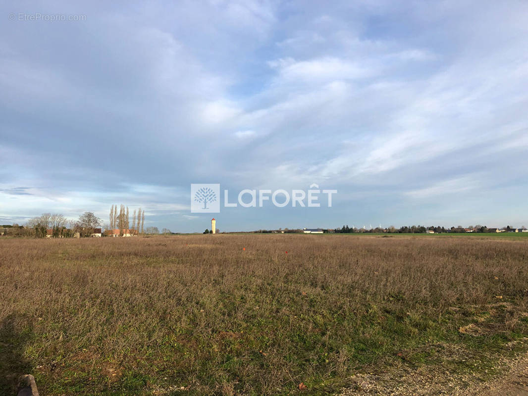 Terrain à BEAUGENCY