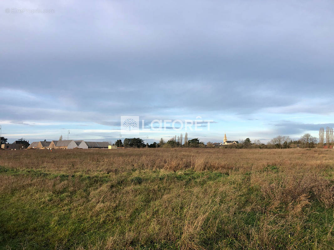 Terrain à BEAUGENCY