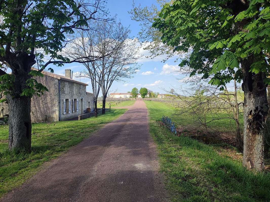 Maison à BLAYE