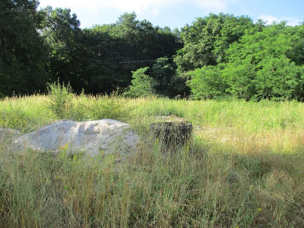 Terrain à MONTENDRE