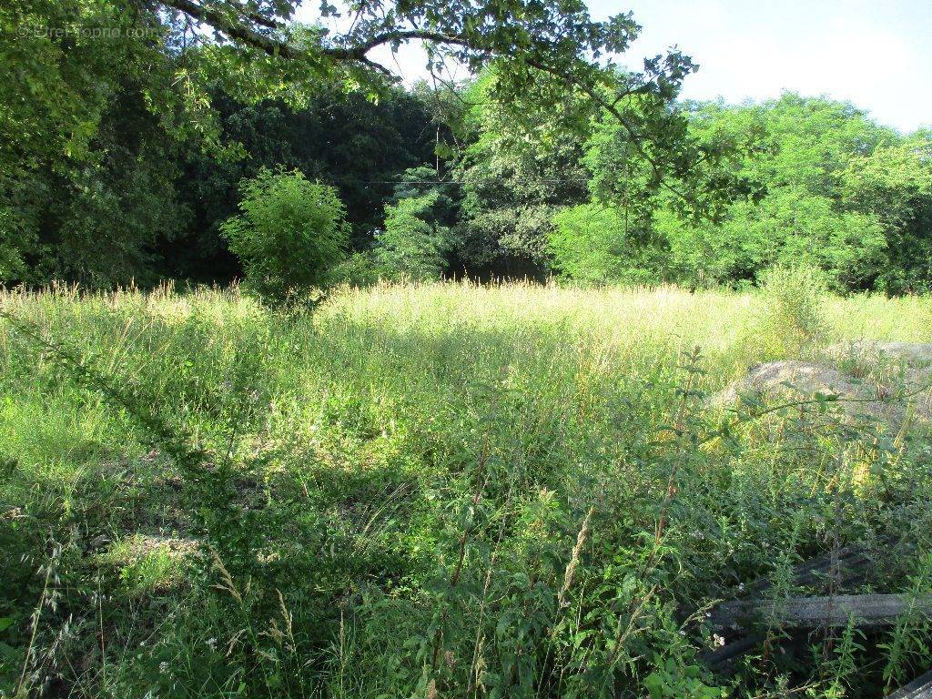 Terrain à MONTENDRE