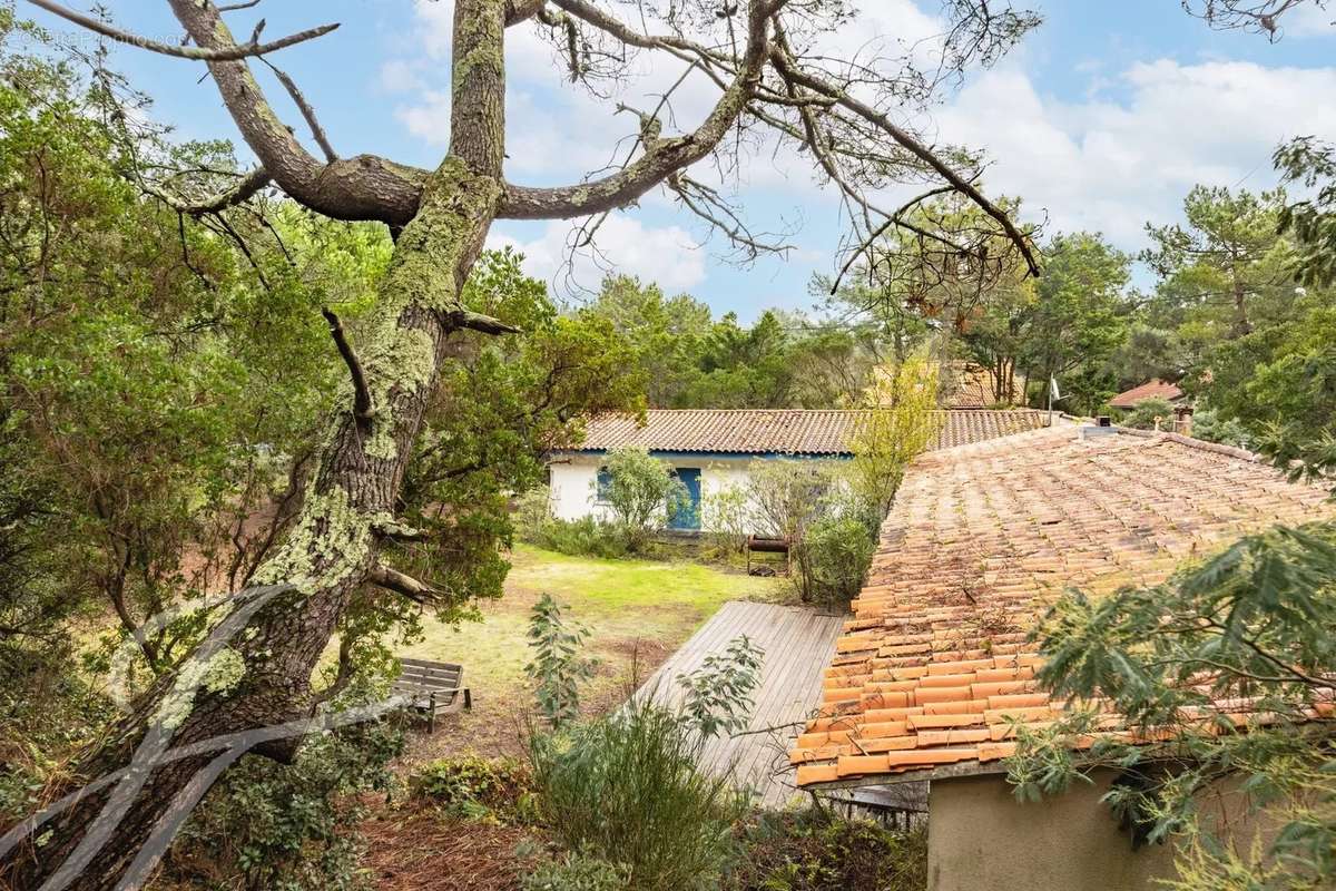 Maison à LEGE-CAP-FERRET