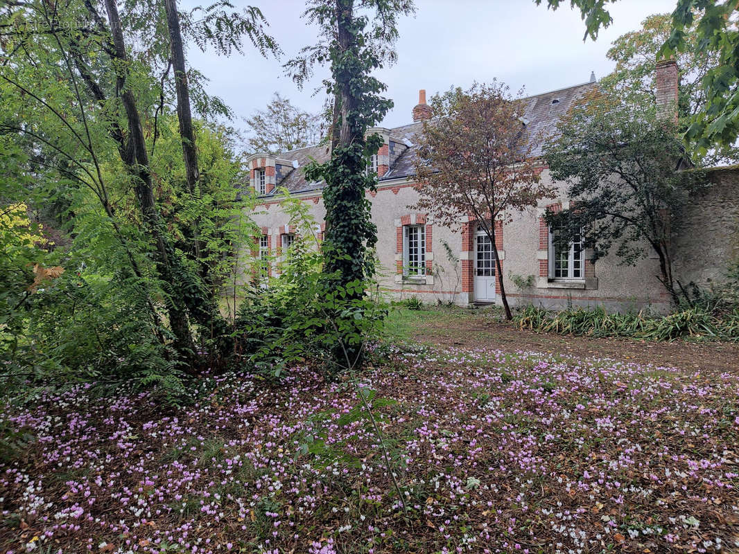 Maison à JOUE-LES-TOURS