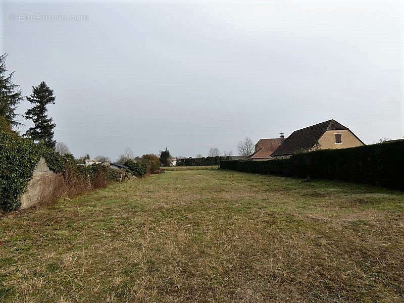 Commerce à SAUVETERRE-DE-BEARN