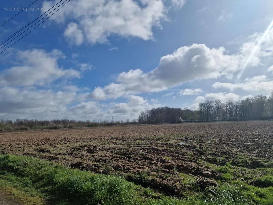 Terrain à FONTENAY-TRESIGNY