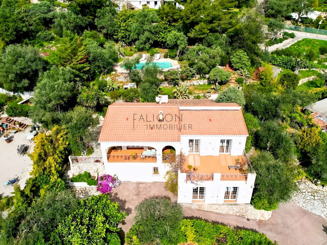 Maison à FALICON