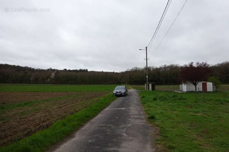 Terrain à SAINT-PIERRE-LES-NEMOURS