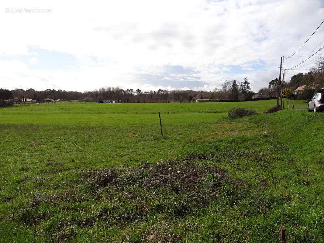 Terrain à SAINT-FRONT-DE-PRADOUX