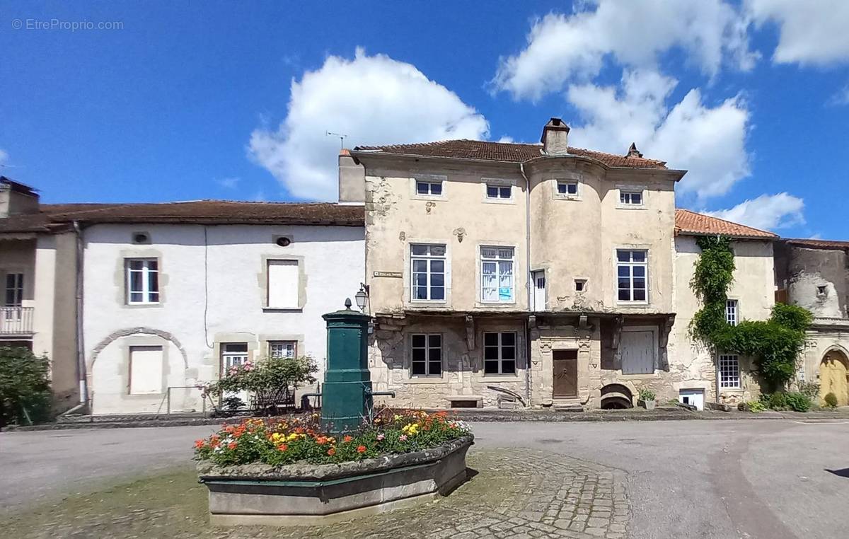 Maison à CHATILLON-SUR-SAONE