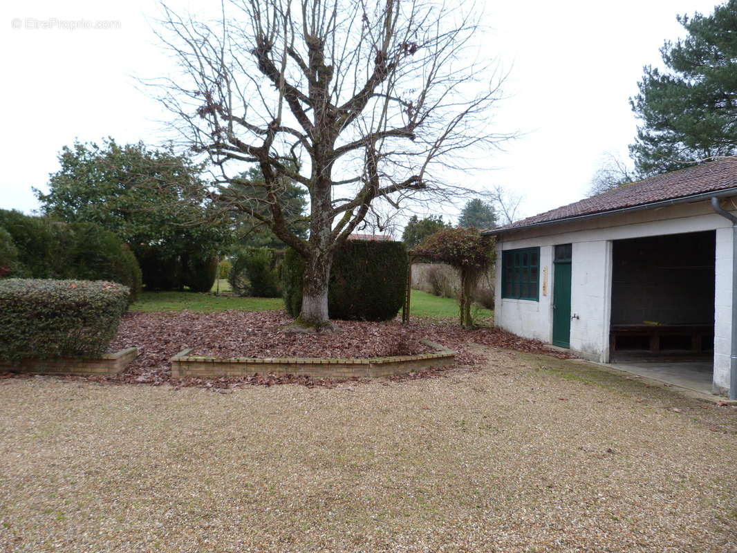 Maison à VIERZON