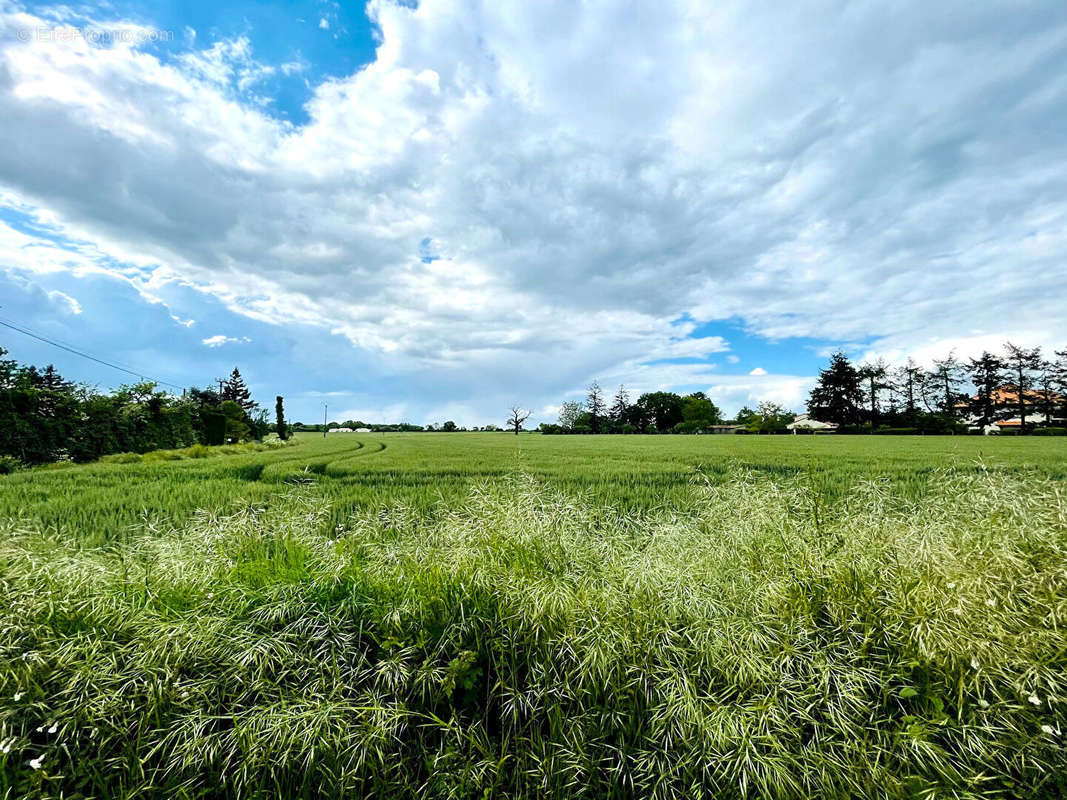 Terrain à LATILLE