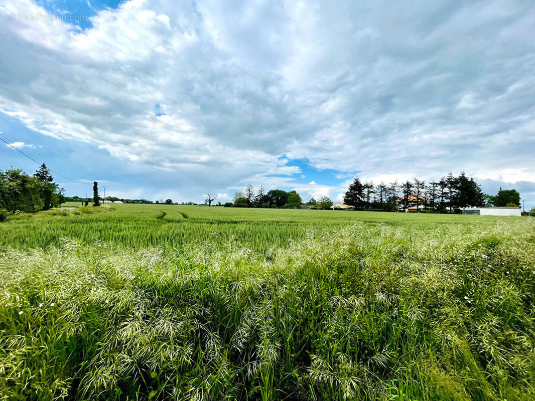 Terrain à LATILLE