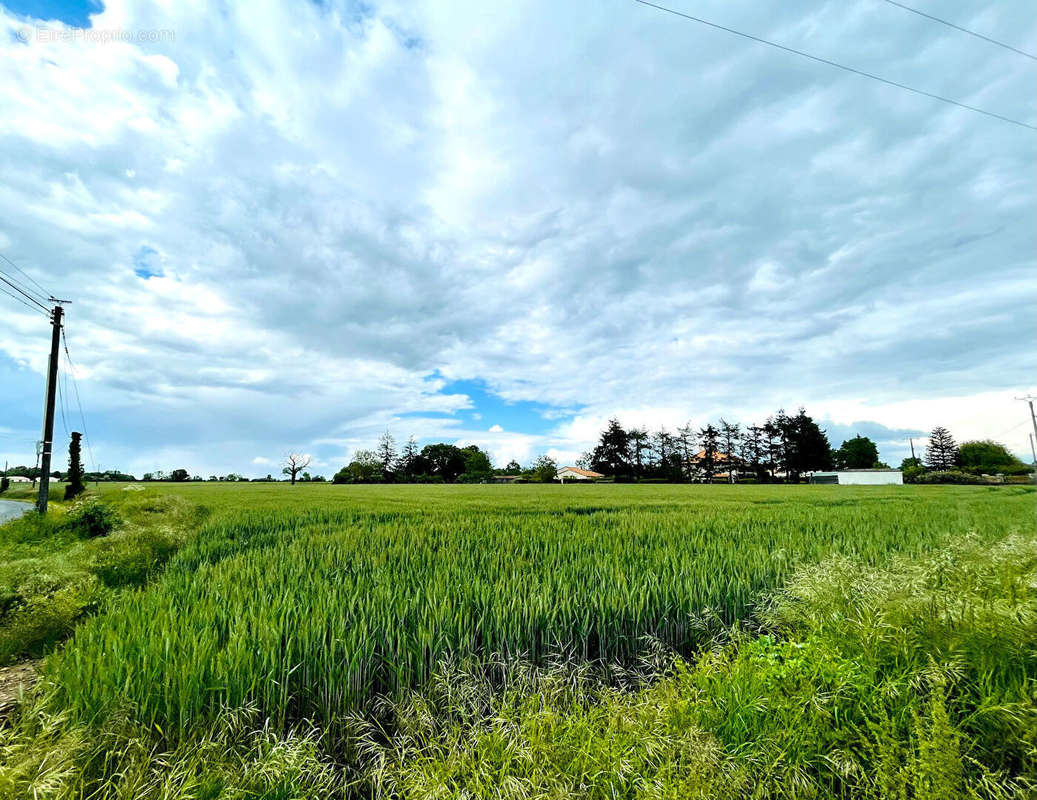 Terrain à LATILLE