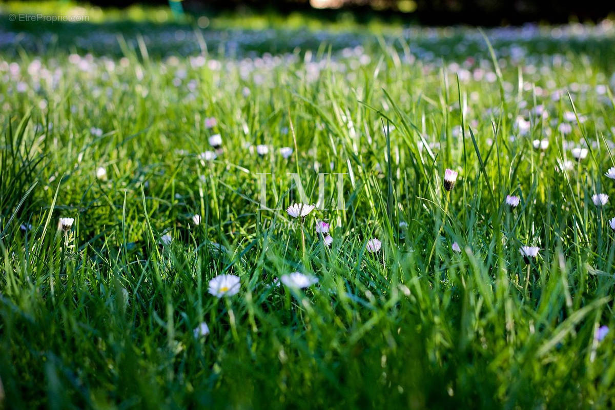 Terrain à PONT-SCORFF