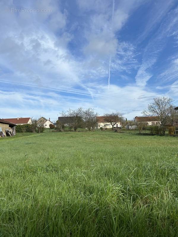 Terrain à CHATILLON-SUR-LOIRE