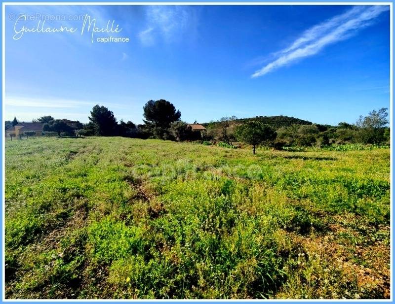 Terrain à ROUJAN