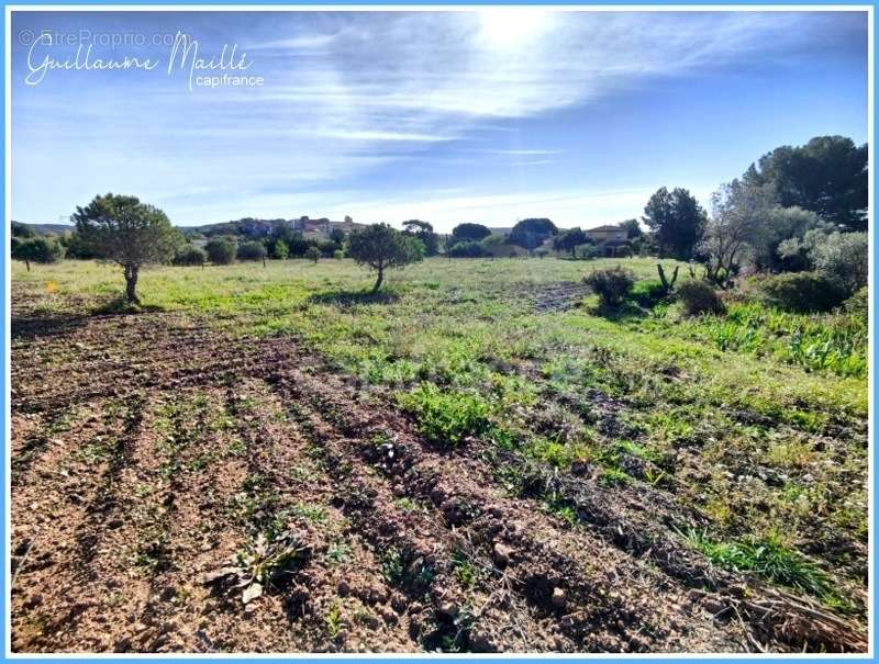 Terrain à ROUJAN