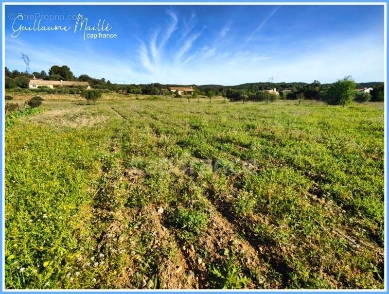 Terrain à ROUJAN