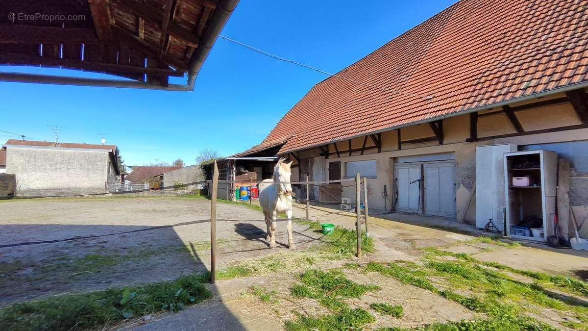 Maison à ILLFURTH