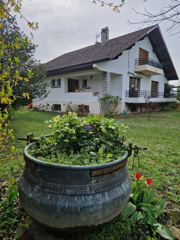 Maison à CHENS-SUR-LEMAN