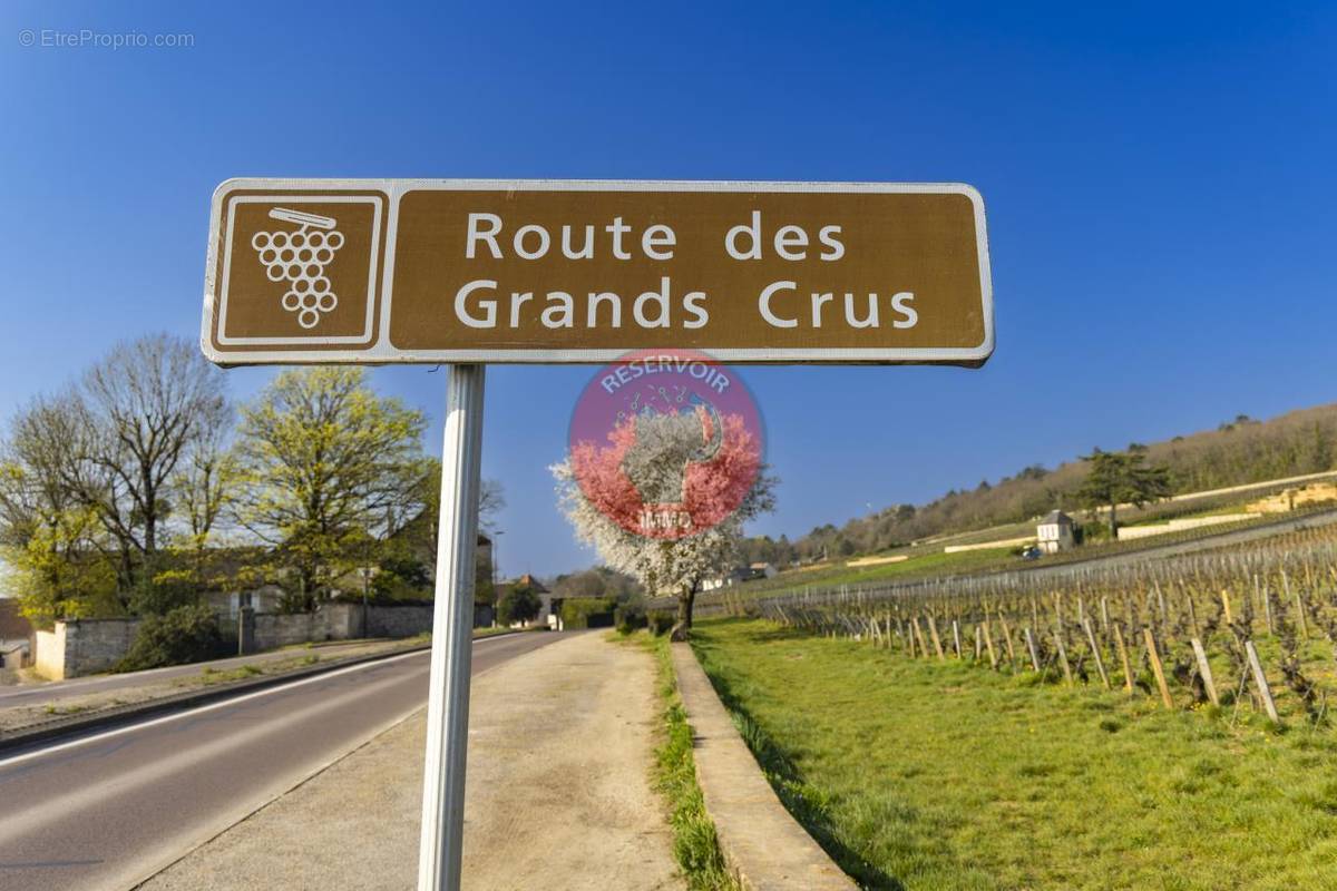 Commerce à GEVREY-CHAMBERTIN