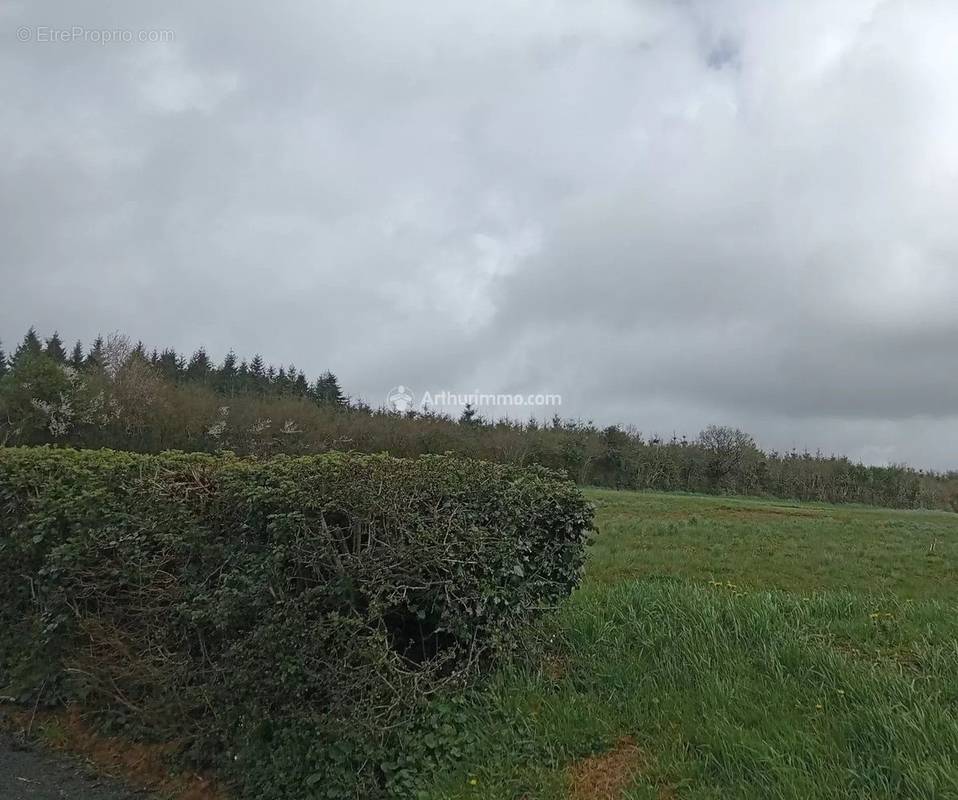 Terrain à CRENNES-SUR-FRAUBEE