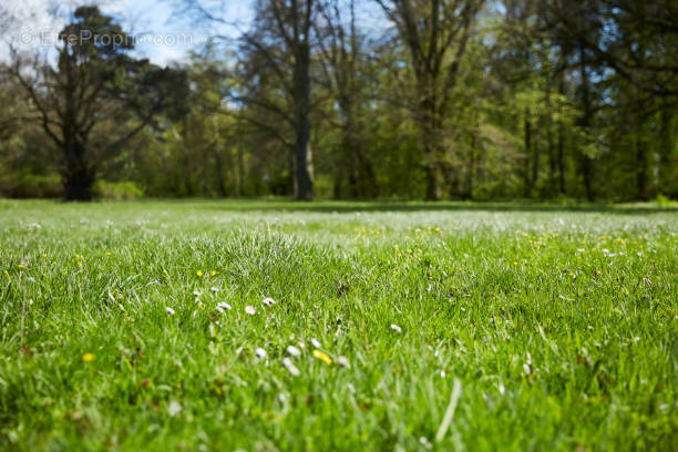 Terrain à LANTON