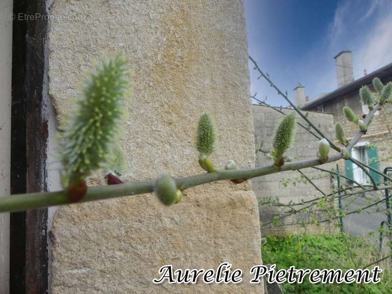 Maison à STENAY